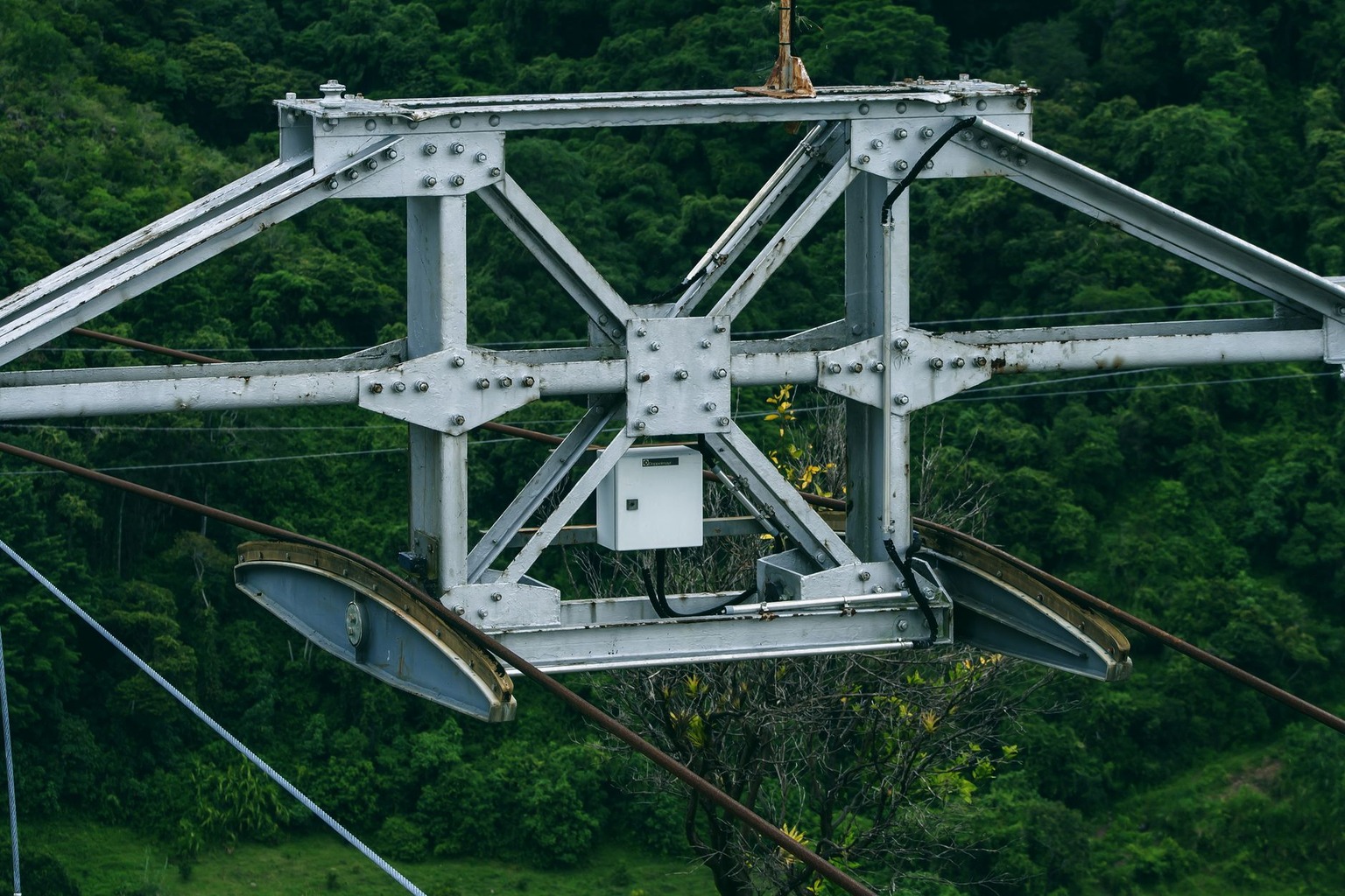 Trilhas e tirolesas no EcoAventura Park: adrenalina na mata